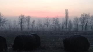 Agriturismo Natura Salute - San Biagio di Callalta - 7