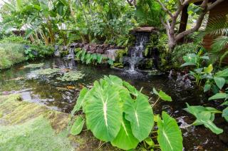 4BD Ke Alaula Estate (124) at Hualalai Resort - Kukio - 9