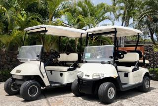 4BD Ke Alaula Estate (124) at Hualalai Resort - Kukio - 7