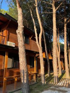 Mikpritja Velipoje 2 - 0