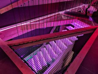 Les Secrets du Castle - le loft - Epfig - 9