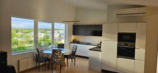 Penthouse apartment with an amazing kitchen and view - Tallinn - 0