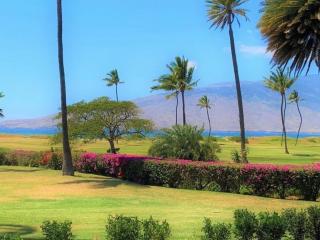 Luana Kai A104 condo - Kihei - 9