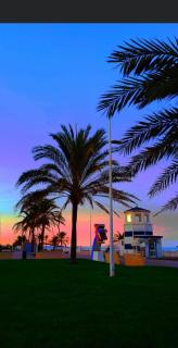Apartamento El Eden - Playa de Gandia - 2
