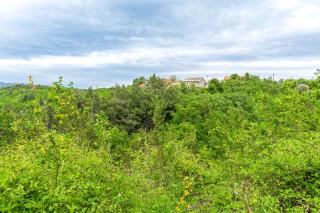 Apartment Green view - Slime - 2