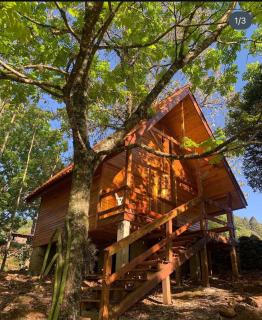 Sitio olhos dagua - Riozinho - 2