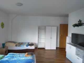 FLEX Aparts - große, möblierte Wohnung in Zwickau mit 2 Zimmern - Zwickau - 3