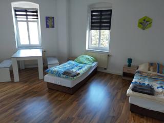 FLEX Aparts - große, möblierte Wohnung in Zwickau mit 2 Zimmern - Zwickau - 4