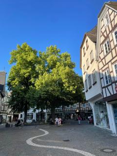 Apartment Buttermarkt - Linz am Rhein - 5