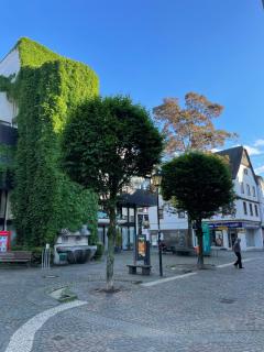 Apartment Buttermarkt - Linz am Rhein - 3