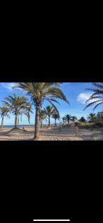 Apartamento El Eden - Playa de Gandia - 5