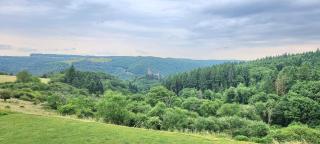 Jagthaus Sauerburgblick - Sauerthal - 8