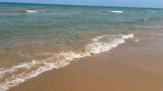 Apartamento El Eden - Playa de Gandia - 9