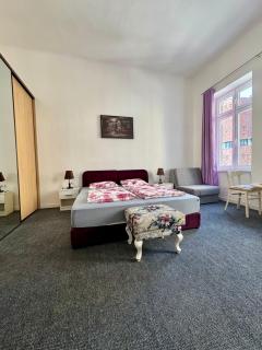 City explorer Sarajevo - The classic room - Sarajevo - 7