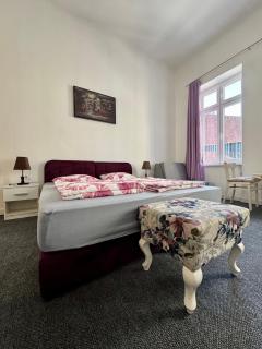 City explorer Sarajevo - The classic room - Sarajevo - 2