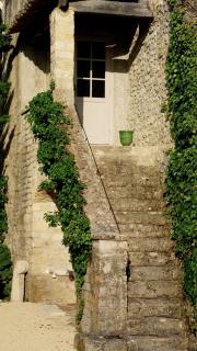 Le Mûrier - 6
