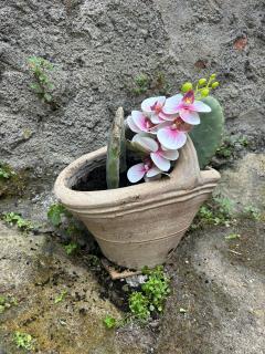 Casa Fiore nella Roccia - Castiglione di Sicilia - 5