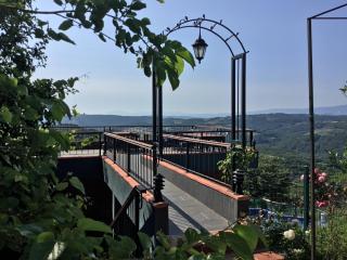 Nerry's Garden İzmit - Camellia - 1