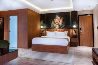 Hotel OPAL PLAZA Near Delhi Airport Unit BY GROSS GROUP - Neu-Delhi - 0