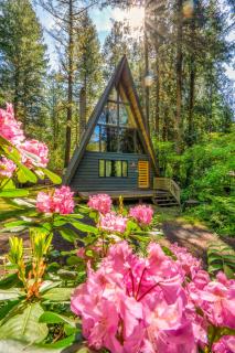 Modern A-Frame Cabin in the Woods - Rhododendron - 0