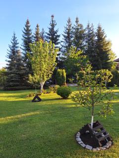 Apartmani Nika Zlatibor - 9