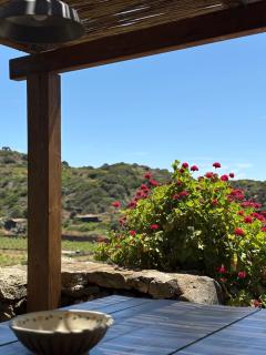 Dammuso del Nonno - Pantelleria - 9