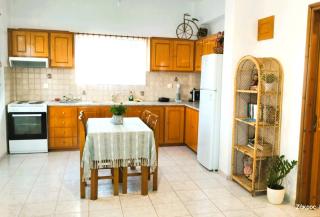 Villa Helen's Olive Garden - Xerokampos - 8