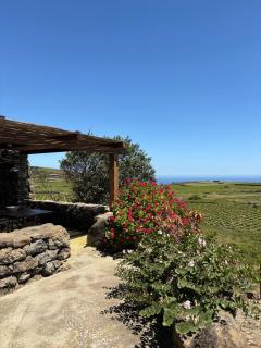 Dammuso del Nonno - Pantelleria - 8