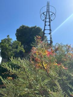 Château Périès - 2