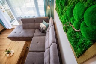 Englmar Apartments with free WELLNESS and FITNESS - Sankt Englmar - 5