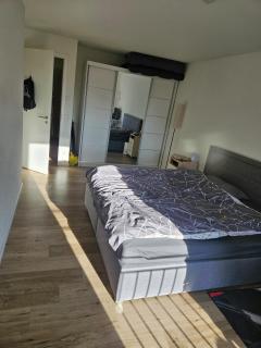 Bright 2-room apartment with balcony in Nuremberg - 4