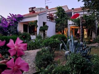Apartmani Jessica - Novalja - 0