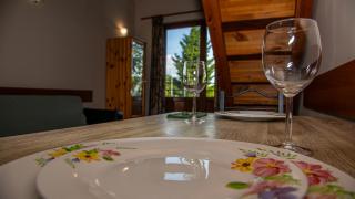 Villa Veselina Loft Studios - Hisarya - 6