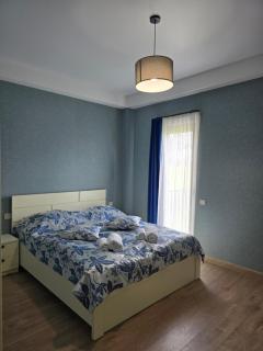 Cozy Retreat 3-Room Apartment 204 in Bakuriani with Stunning Views - 1