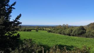 Villa MAG - Teulada - 1