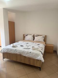 Vila Bolonja - Struga - 7