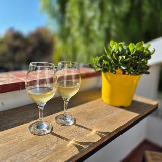 Holy Wine - Mendoza - 6