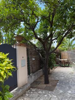 Maison Antibes - Antibes - 9