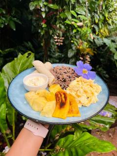 Kika Zaru B&B Free MA park tour and Free breakfast - Manuel Antonio - 3