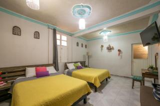 Colonial Charm Private Room with Bathroom - Guanajuato - 5