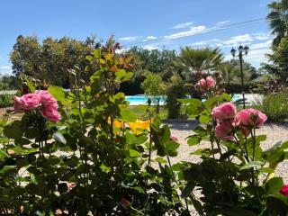 Villa Sofia - Marconia - 8