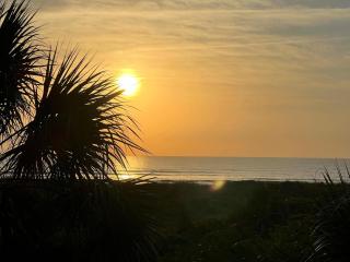 Hibiscus B203 - St. Augustine - 7