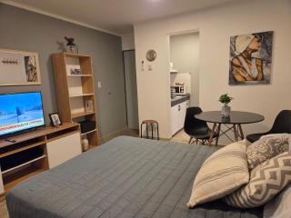 Depto. Av. Godoy Cruz (Centro) Mendoza - 2