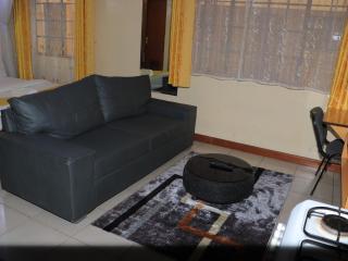 Mvuli studio apartments - Nairobi - 7