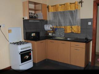 Mvuli studio apartments - Nairobi - 3