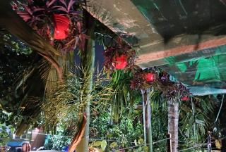 The Green View Homestay Siliguri in - Siliguri - 7