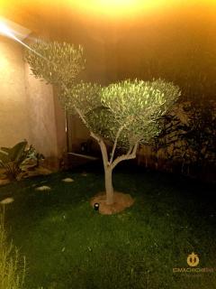Saphir 46 - Marrakesh - 9