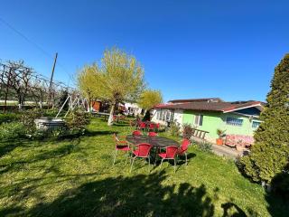 Casa Bucuria - Aurel Vlaicu - 2