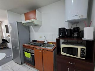Departamento tipo estudio, cercano al Movistar Arenas y Teatro Caupolican - Santiago - 7