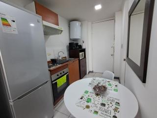 Departamento tipo estudio, cercano al Movistar Arenas y Teatro Caupolican - Santiago - 6